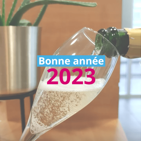 Bonne année 2023 ! Bonne année 2023 !